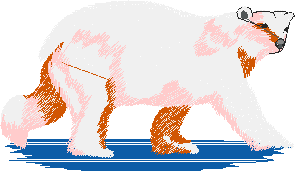 Artic