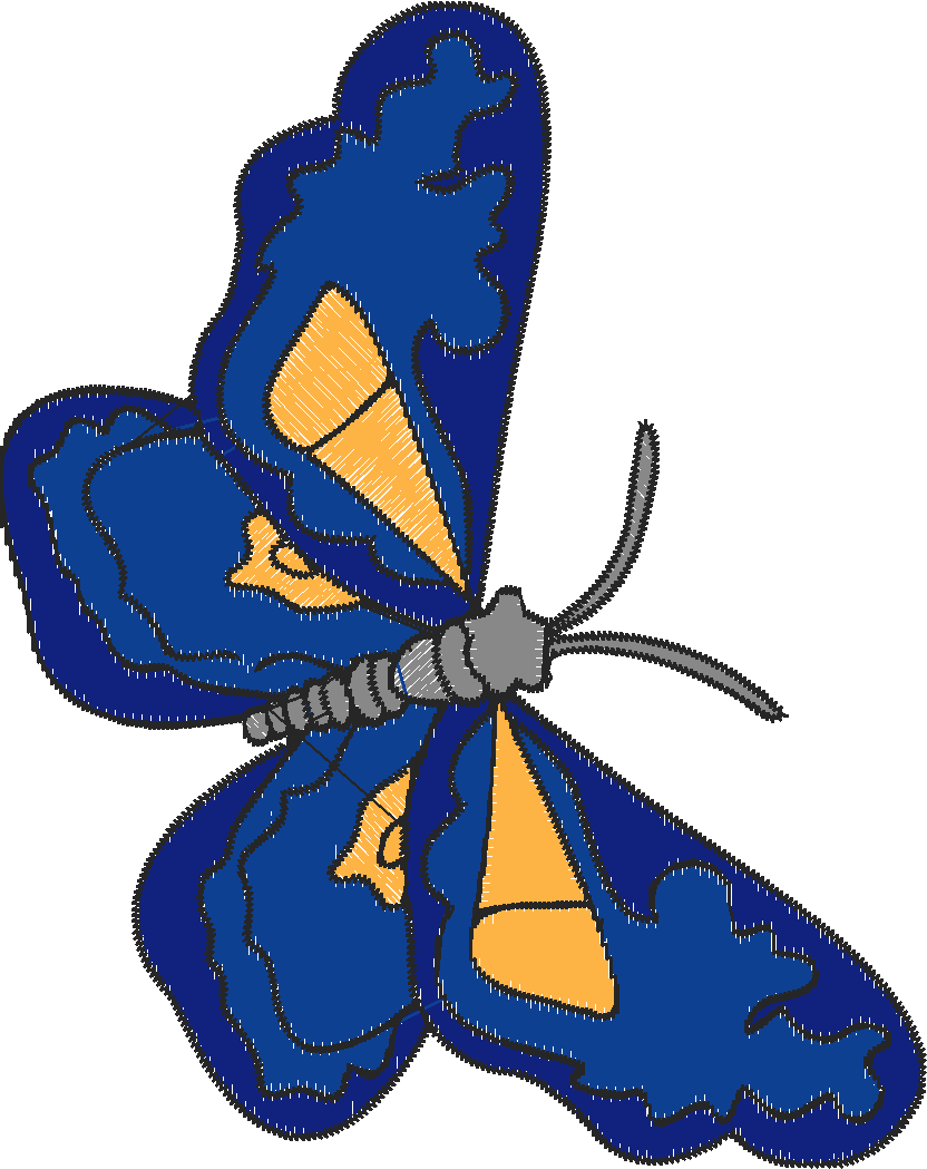 Butterfly1
