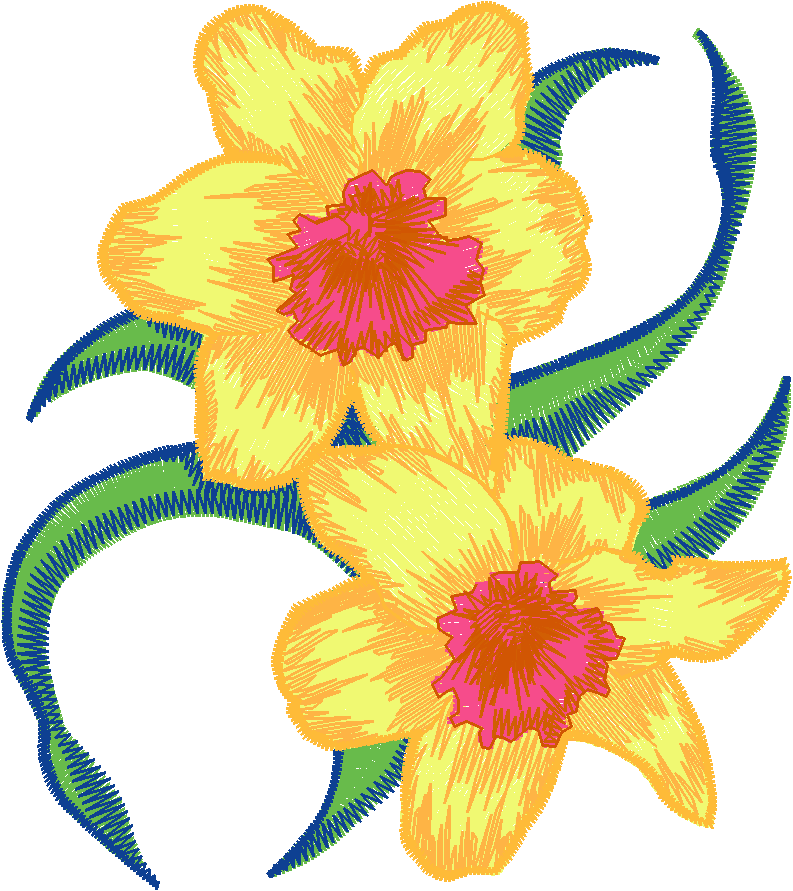 Daffodils