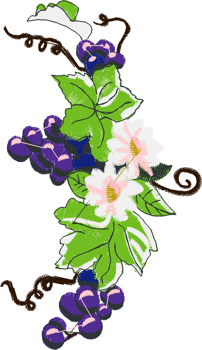 Daisies & Grapes