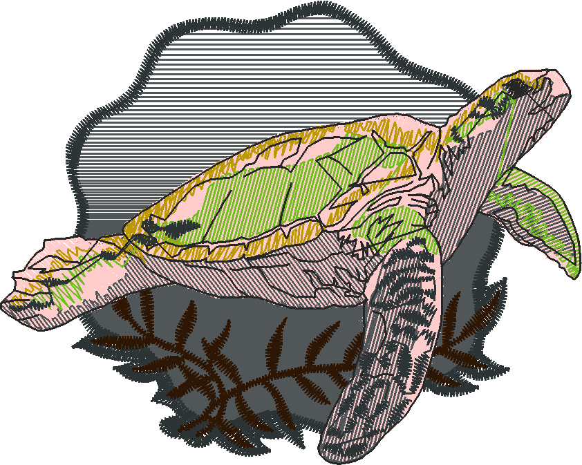 Loggerheadturtle