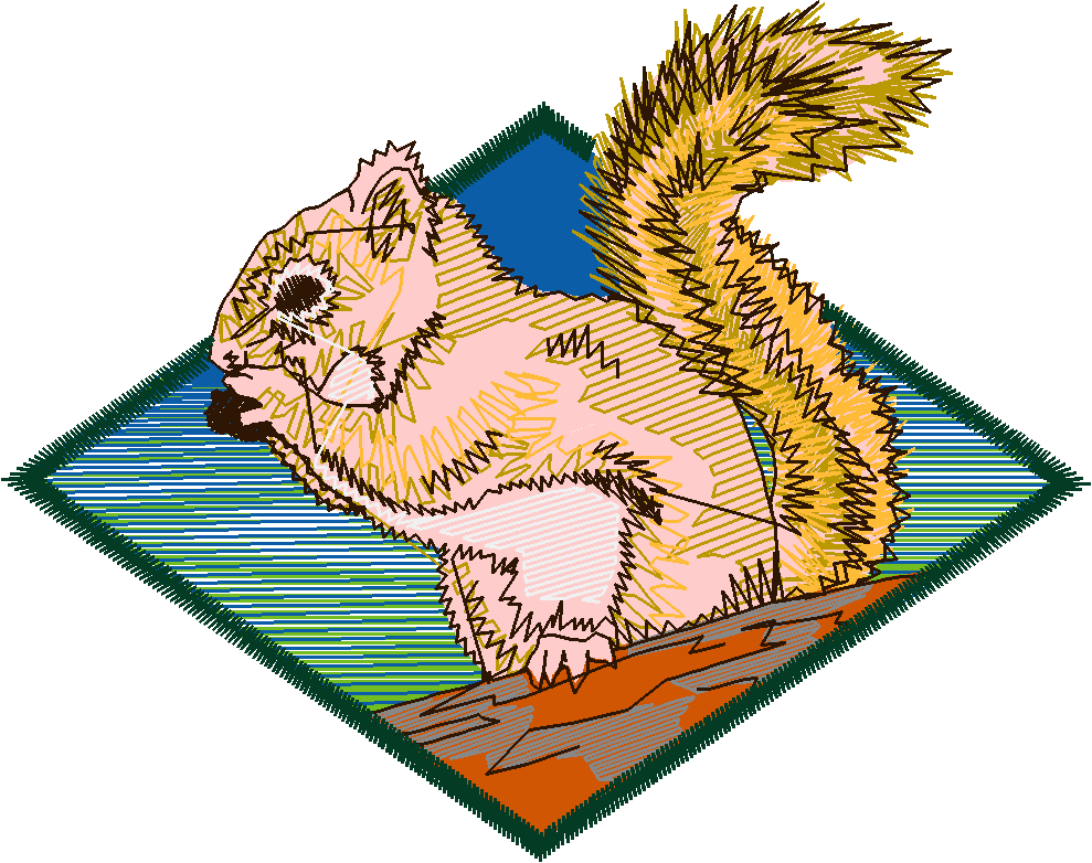 Squirrel