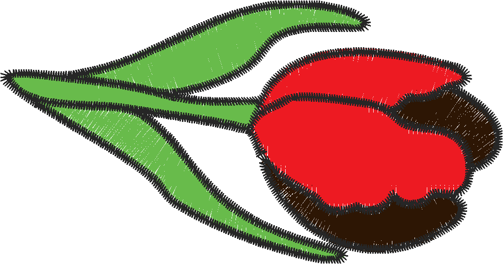 Tulip2