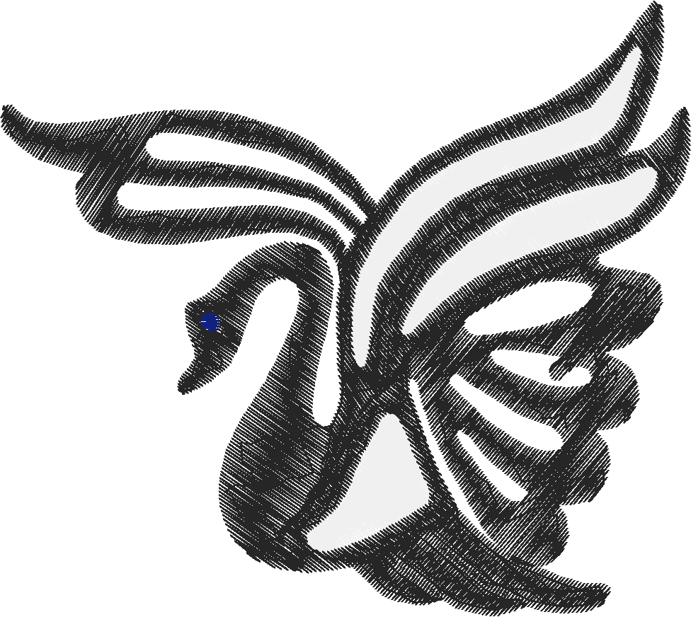 01black swansm