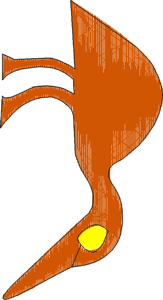 African bird2