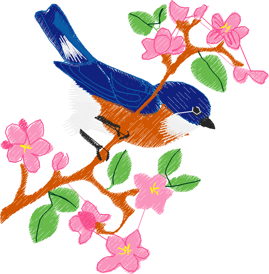 Bluebird blossoms