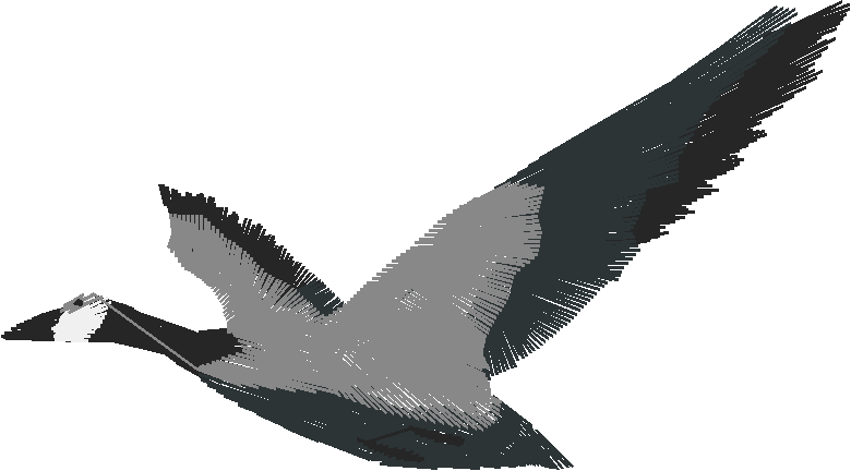 Flight1