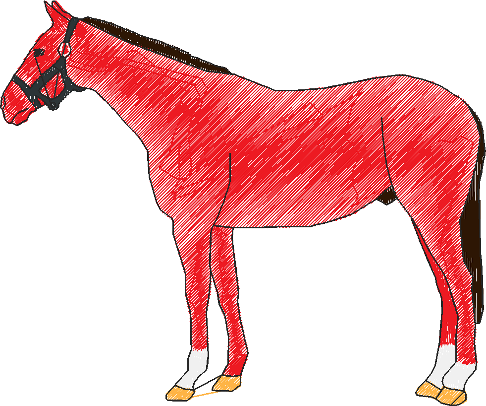 Horse1 rh