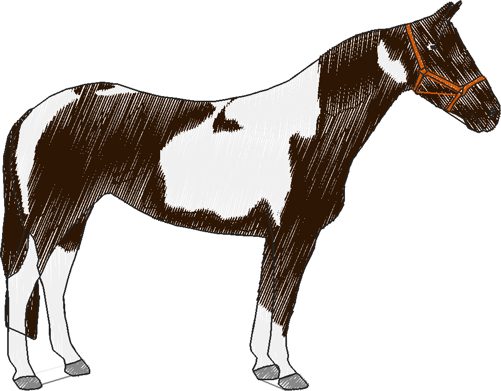 Horse3 rh