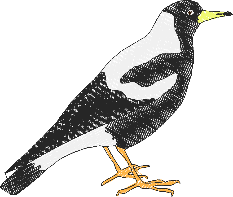 Kh magpie