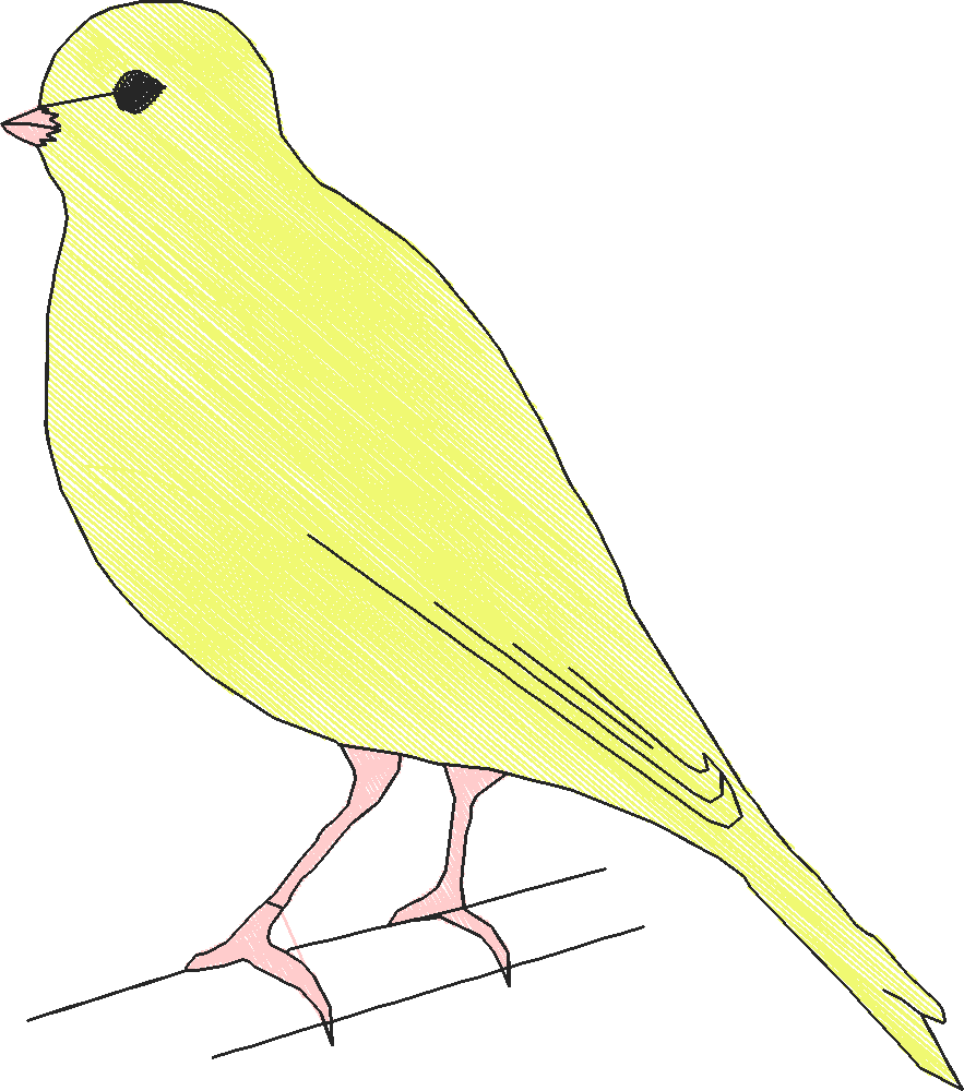 Krs Canary