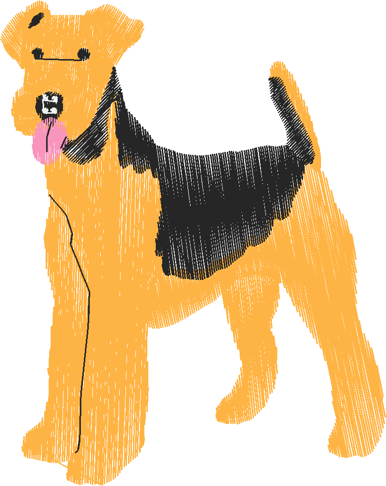 Wire haired terrior rh