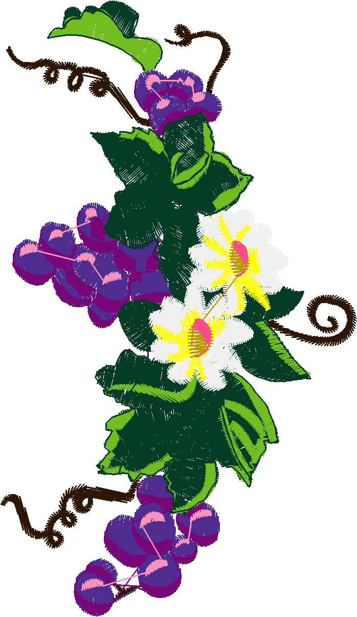 Daisies  Gra