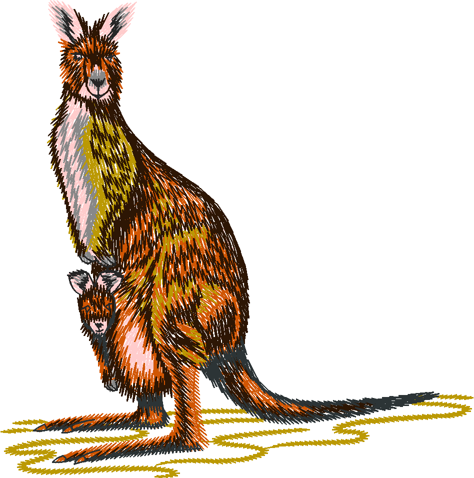 Australian Animals
