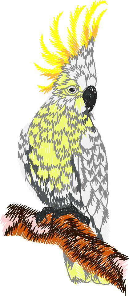 Australian Animals 1 (10)
