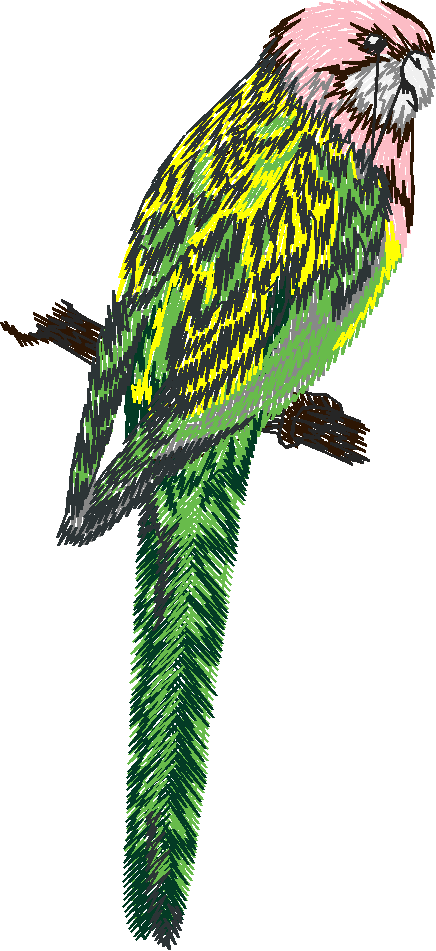 Australian Animals 1 (12)