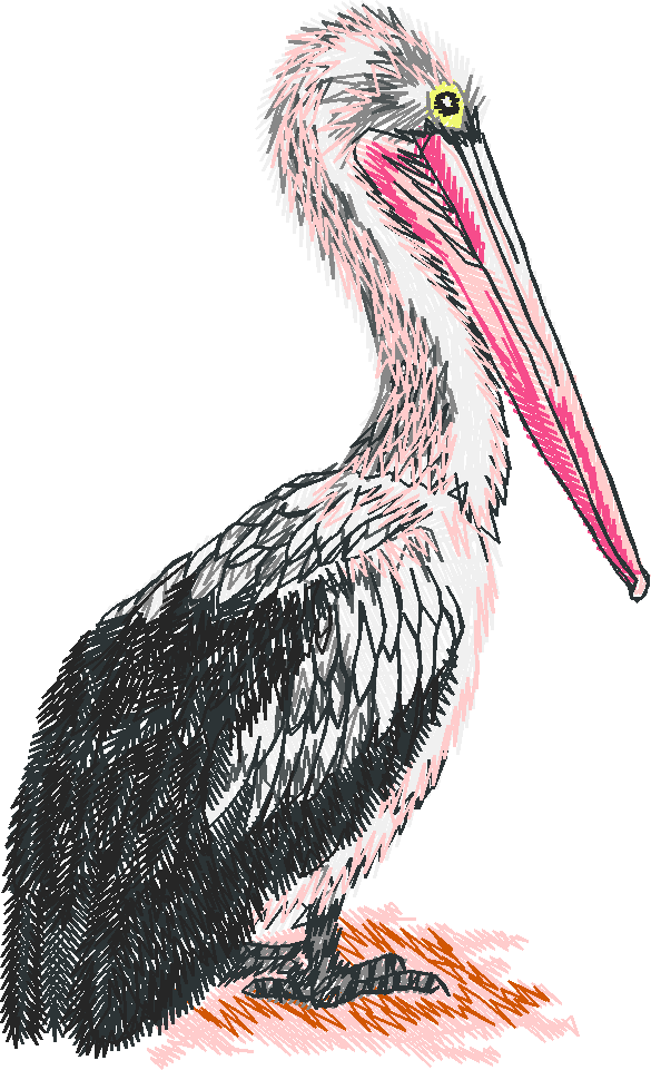 Australian Animals 1 (15)