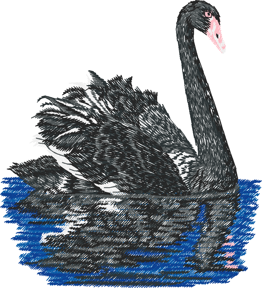 Australian Animals 1 (17)