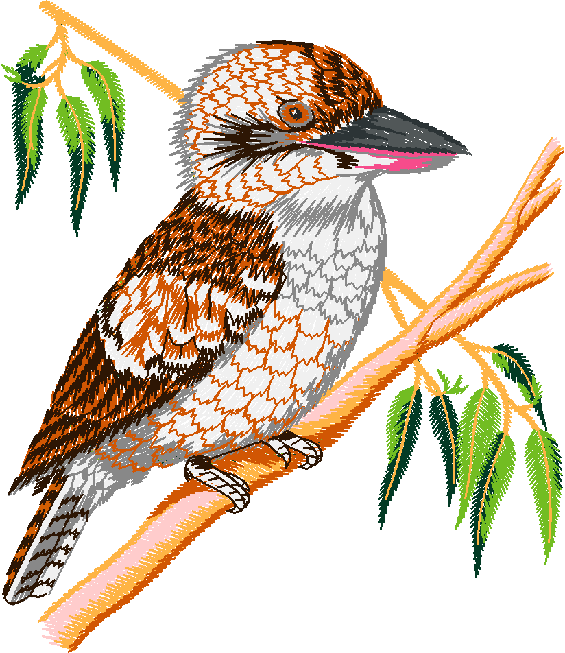 Australian Animals 1 (6)