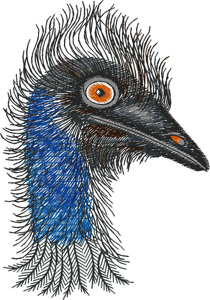 Australian Animals 1 (7)