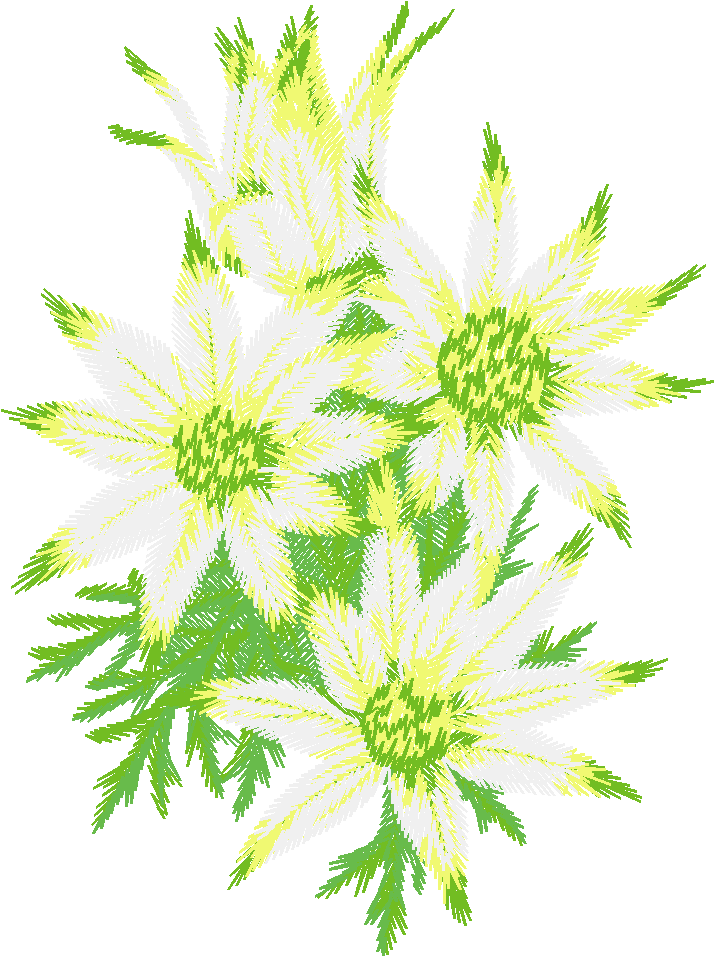 Austrialian Flowers 1 (13)