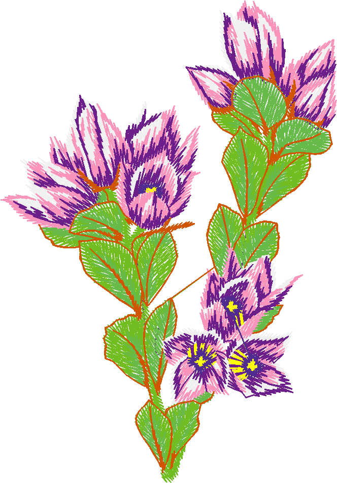 Austrialian Flowers 1 (14)