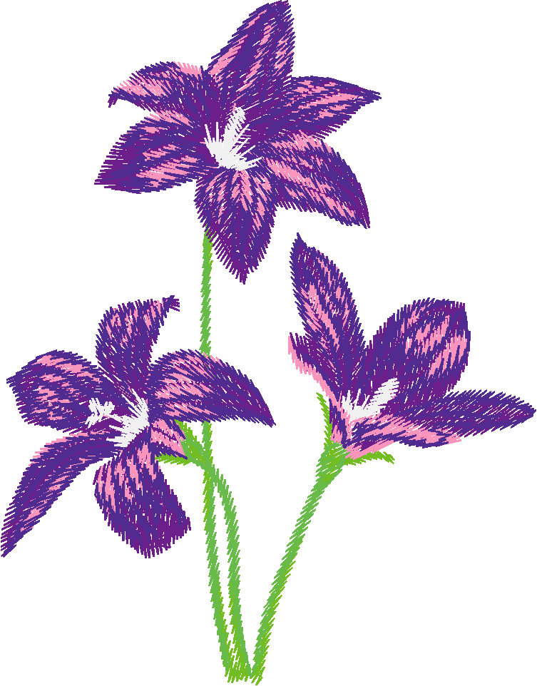 Austrialian Flowers 1 (16)