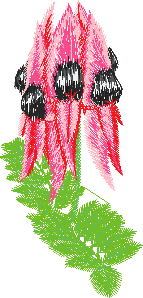 Austrialian Flowers 1 (6)