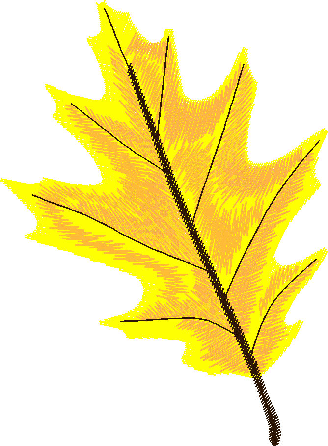 Autumn 2  (6)