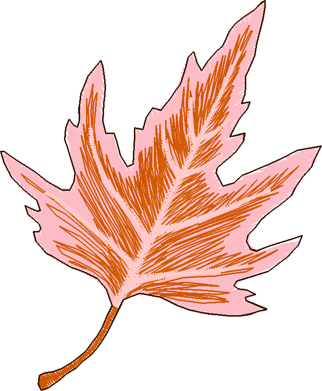 Autumn 3  (3)