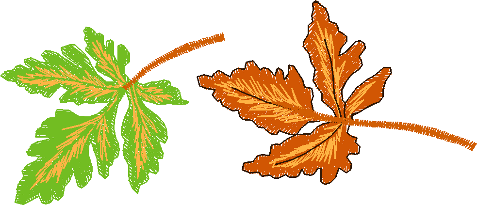 Autumn 3  (8)
