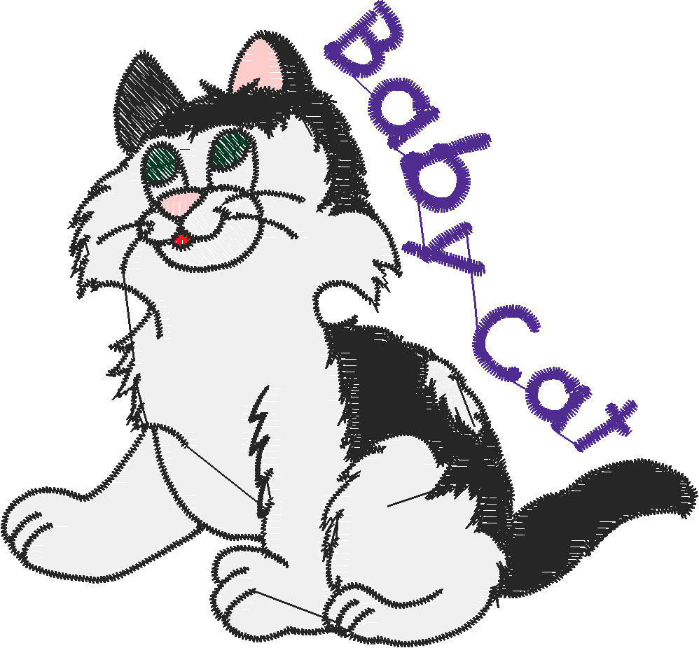 Baby cat
