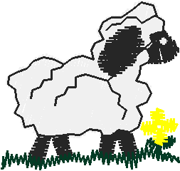 Lil0307