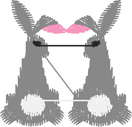 Lil0330