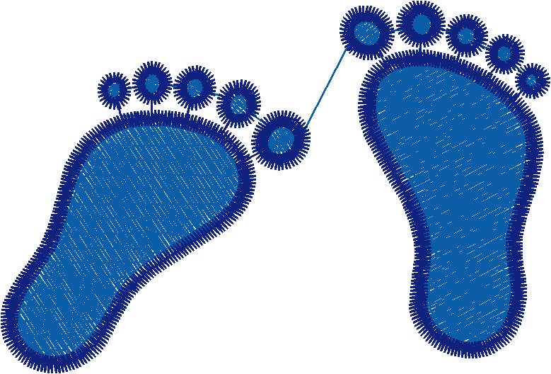 Piedi