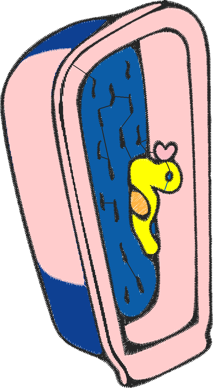 Babybath