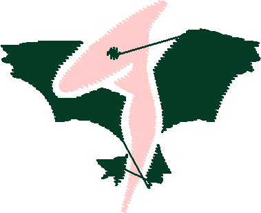 Baby Designs 1 (29)