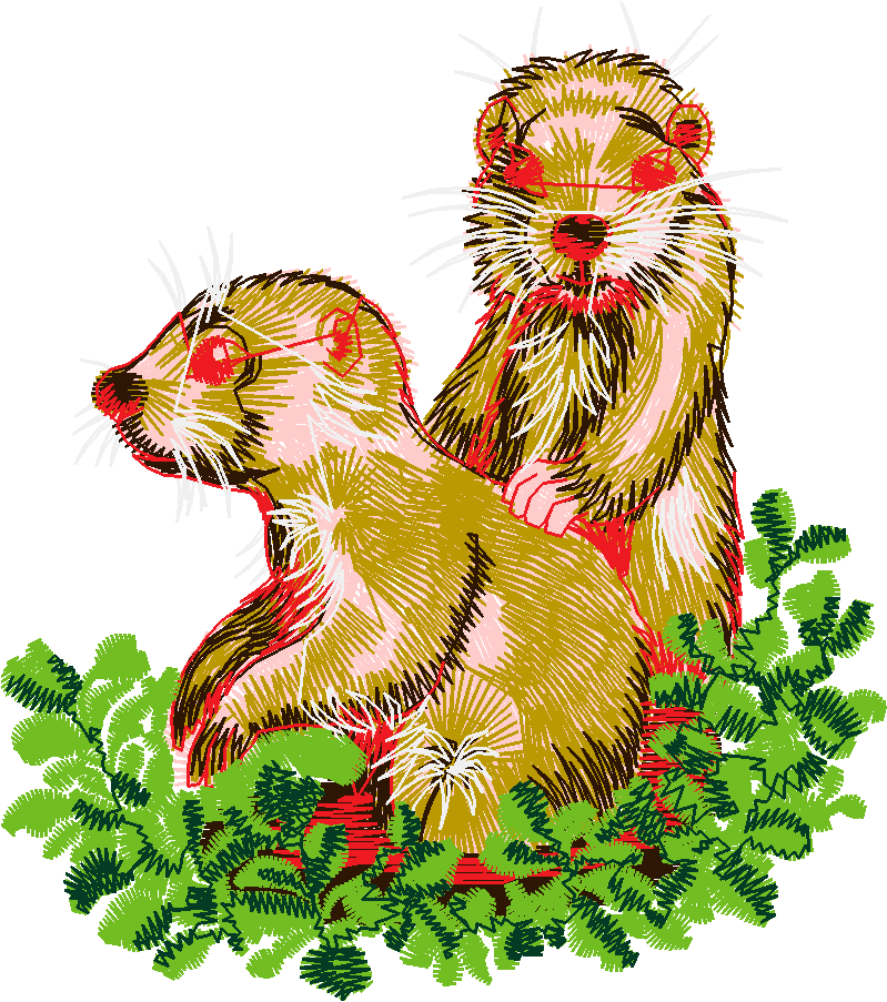 Baby Animals   Two By Two 1  (12)