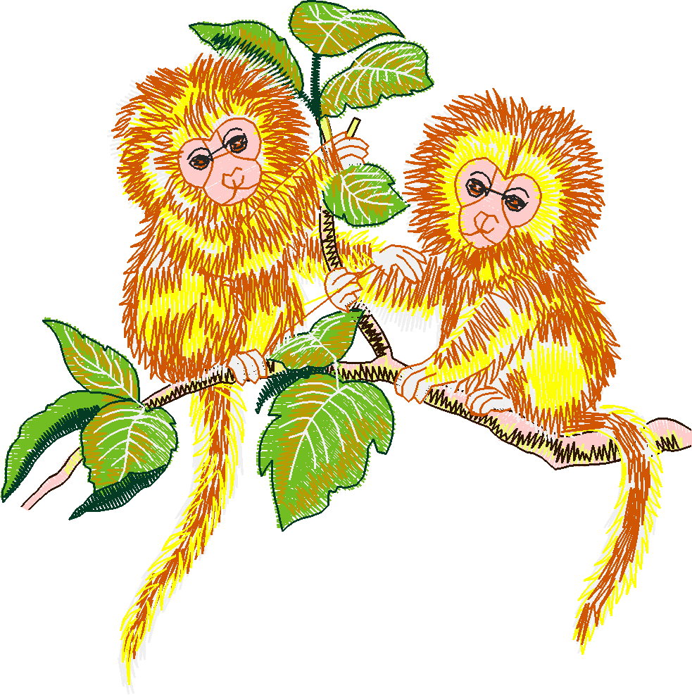 Baby Animals   Two By Two 1  (20)