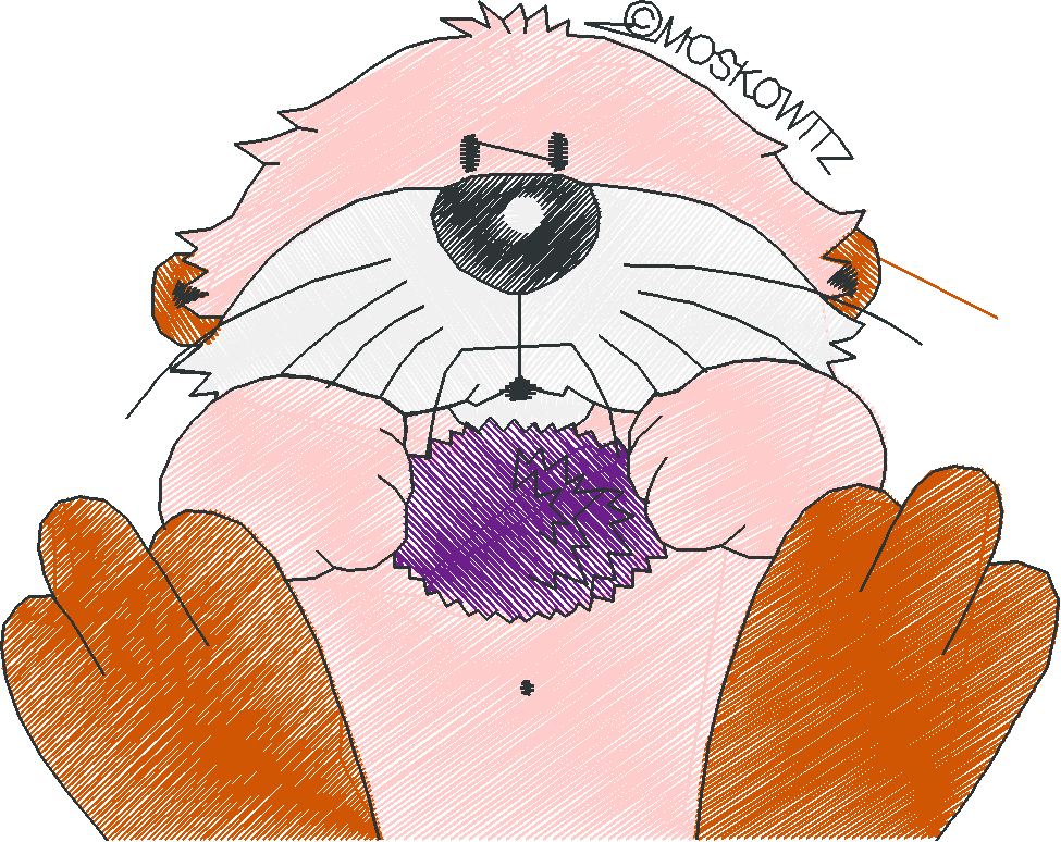Baby Animals 01  (7)
