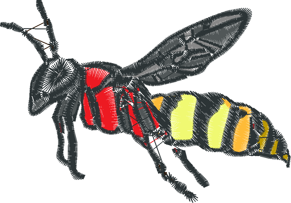 Baby Bugs Collection