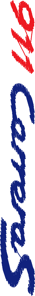 Caremblems 021