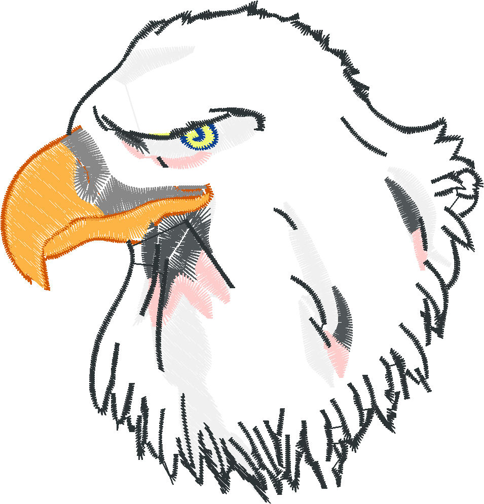 Bald Eagles