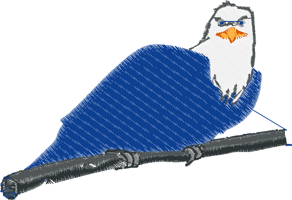 Bald Eagles 1 (2)