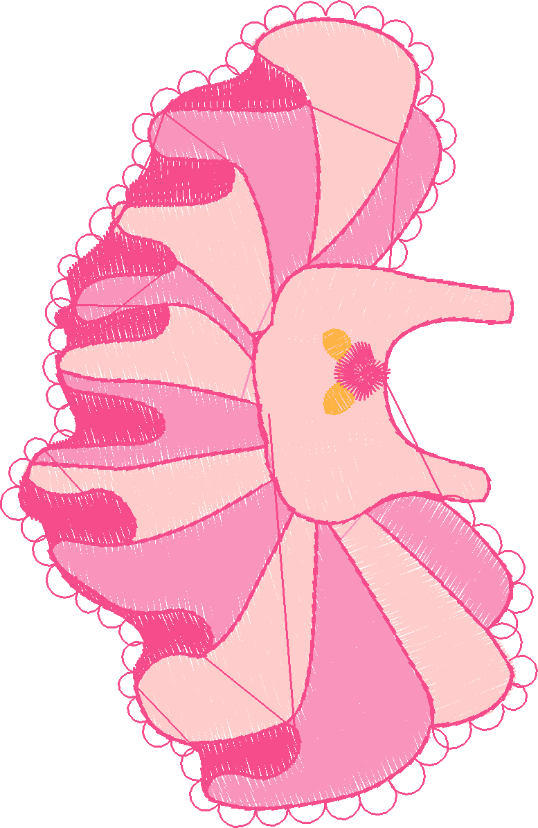 Ballet 1  (6)