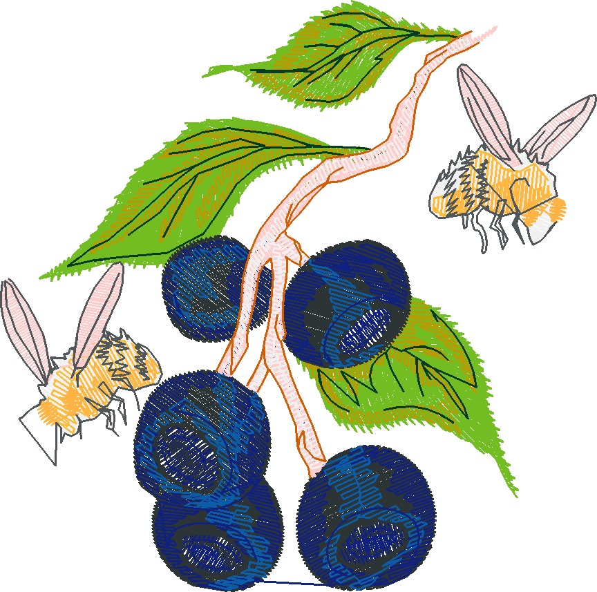 Berries