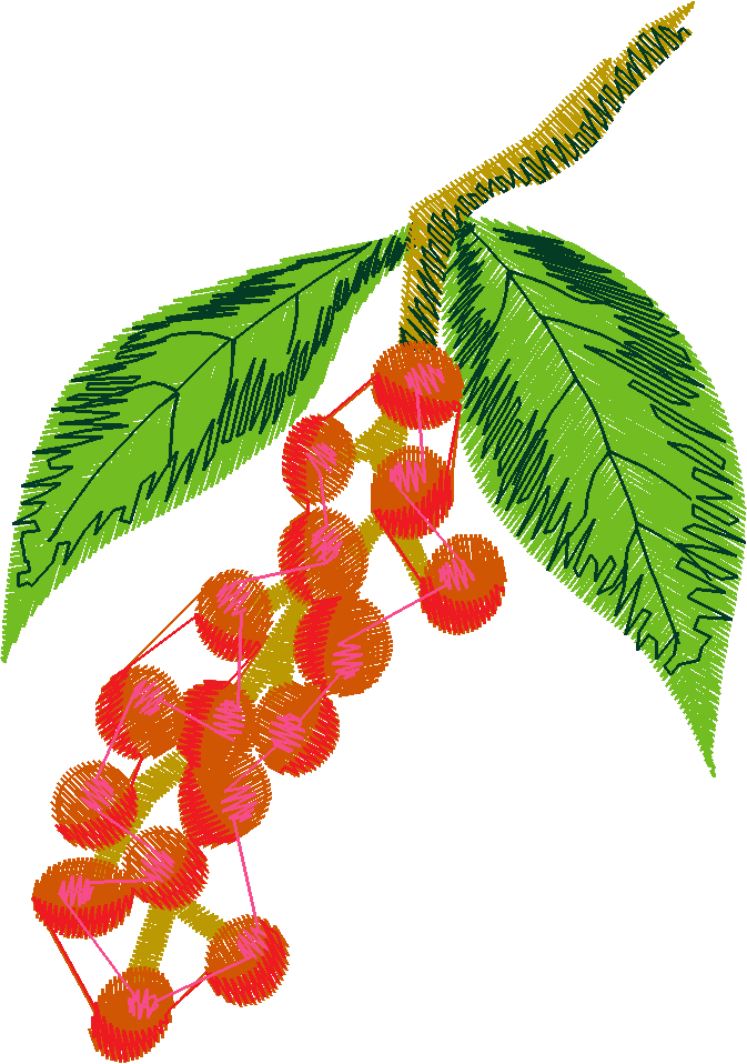 Berries 1 (14)