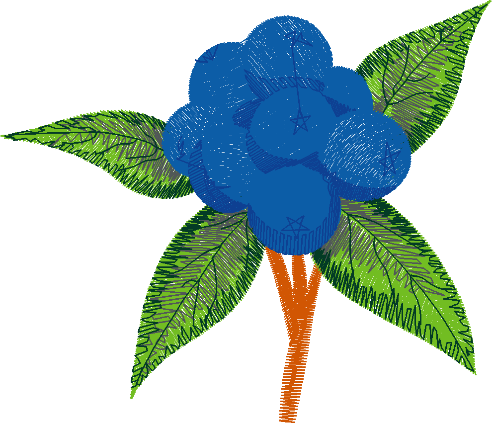 Berries 1 (18)