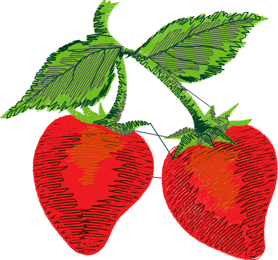 Berries 1 (19)