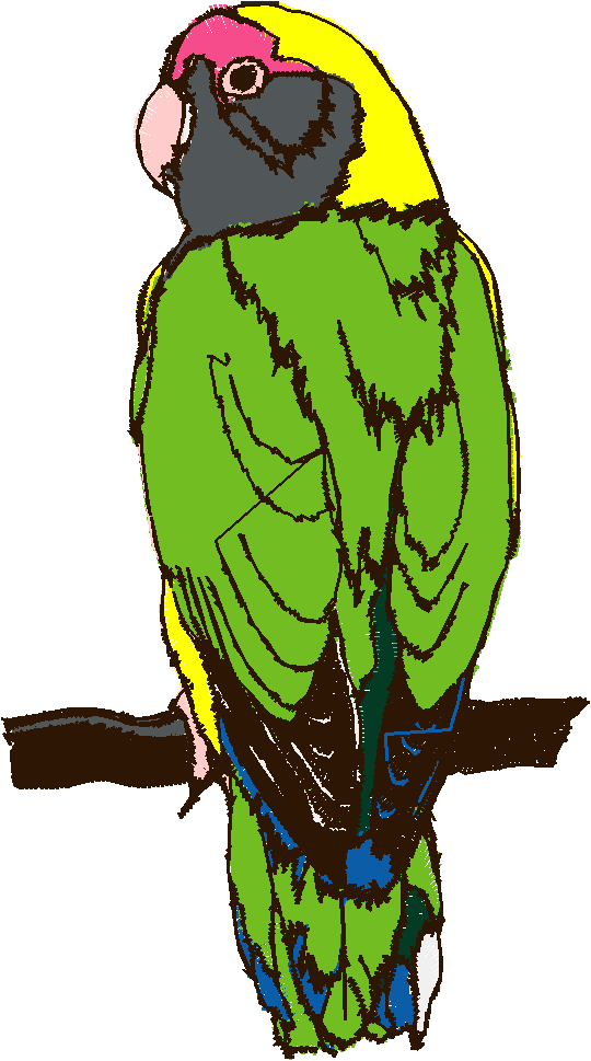 Bird Lovers Delight 1  (2)